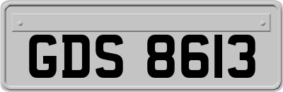 GDS8613