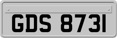 GDS8731