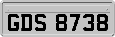 GDS8738