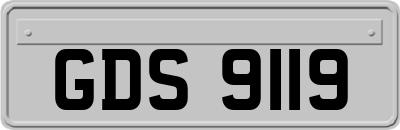 GDS9119