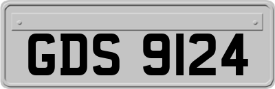GDS9124
