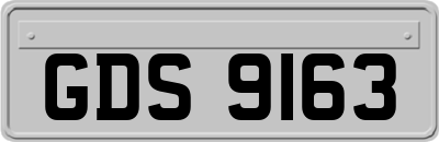 GDS9163