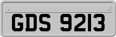GDS9213