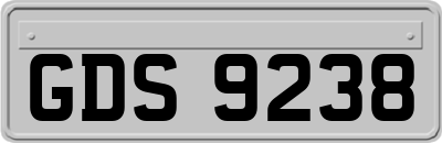 GDS9238