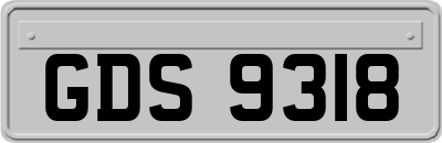 GDS9318