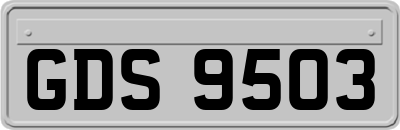 GDS9503