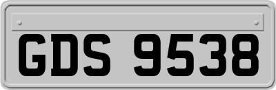GDS9538