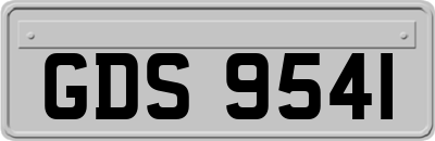 GDS9541
