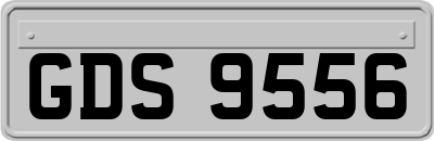 GDS9556