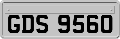 GDS9560