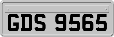 GDS9565