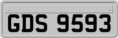 GDS9593