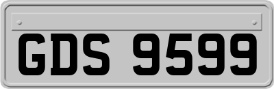 GDS9599