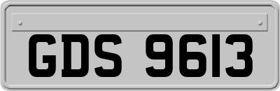 GDS9613
