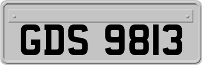 GDS9813