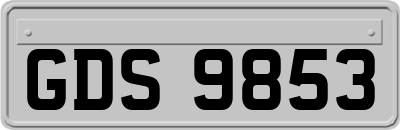 GDS9853