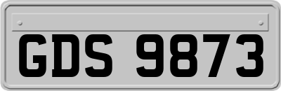 GDS9873