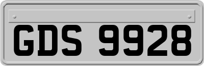 GDS9928