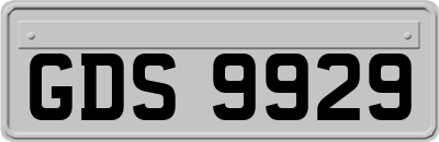 GDS9929