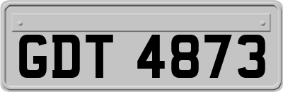 GDT4873