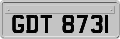 GDT8731