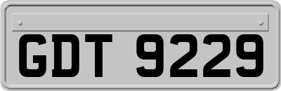 GDT9229