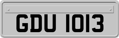 GDU1013