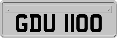 GDU1100
