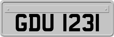 GDU1231