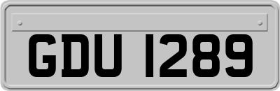 GDU1289