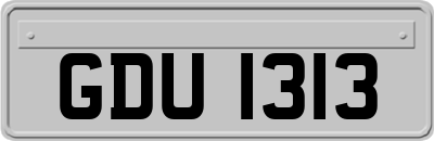 GDU1313