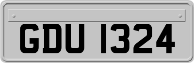 GDU1324