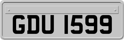 GDU1599