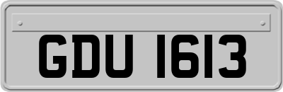 GDU1613