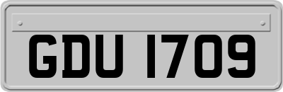 GDU1709