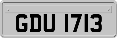 GDU1713