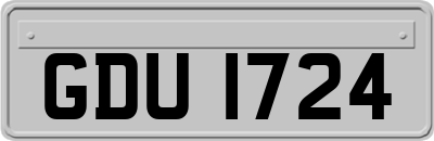 GDU1724