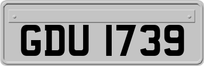 GDU1739