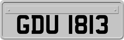 GDU1813