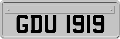 GDU1919