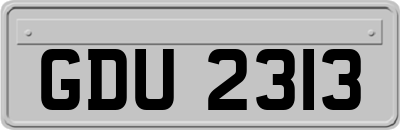GDU2313