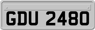 GDU2480