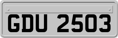 GDU2503