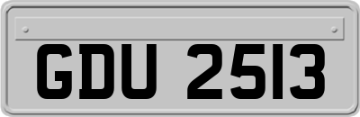 GDU2513