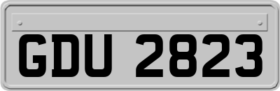GDU2823