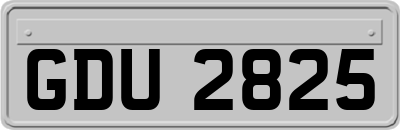 GDU2825