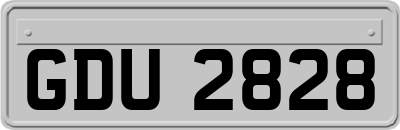 GDU2828
