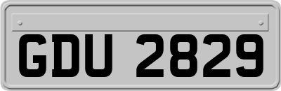 GDU2829