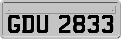 GDU2833