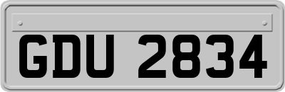 GDU2834